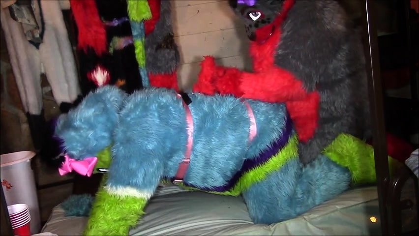 Furry Pegging Porn - Furry Pegging Time at DrTuber